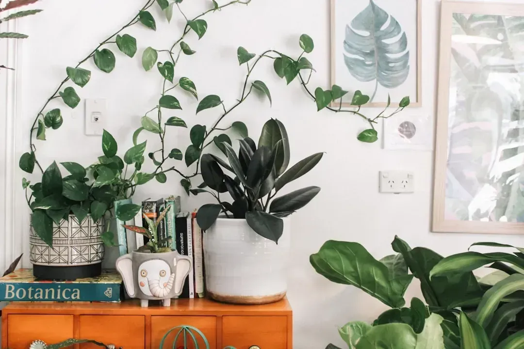 The lasting appeal of building with  in mind (Image Credits: Unsplash)