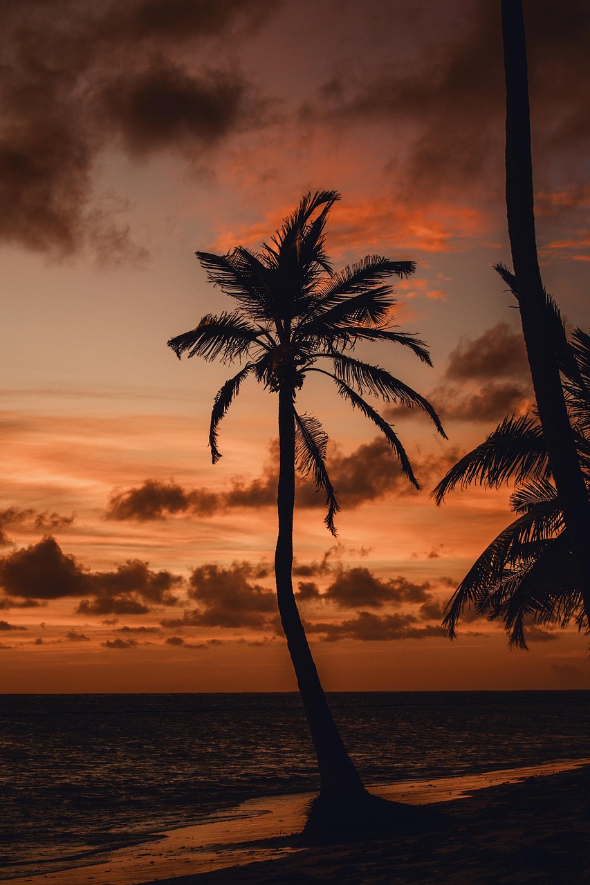 Pompano Beach - Affordable Alternative To Miami (image credits: pixabay)