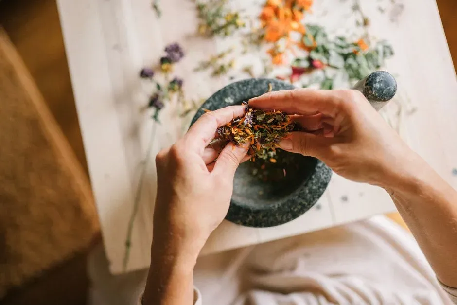 Comfort and recovery in healing spaces (Image Credits: Pexels)