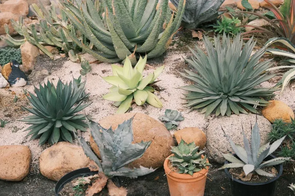 Native Plants and Water-Wise Landscaping (Image Credits: Pexels)