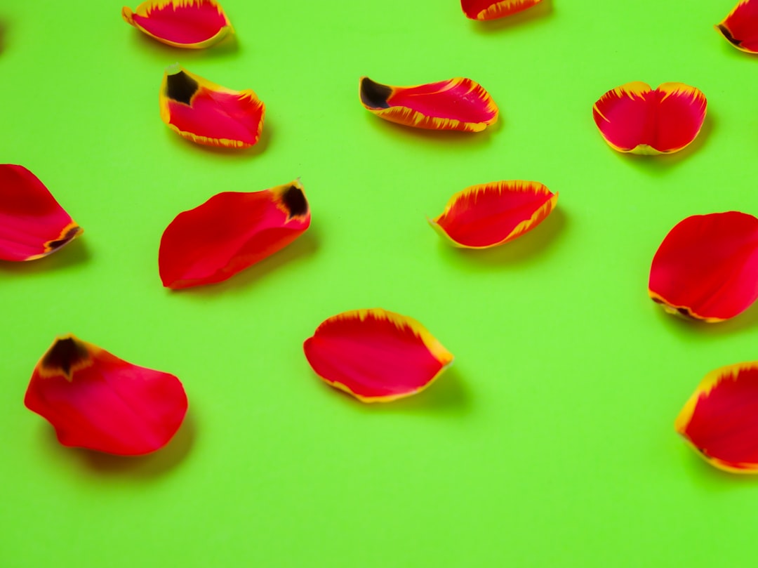 Neon Colors (image credits: unsplash)