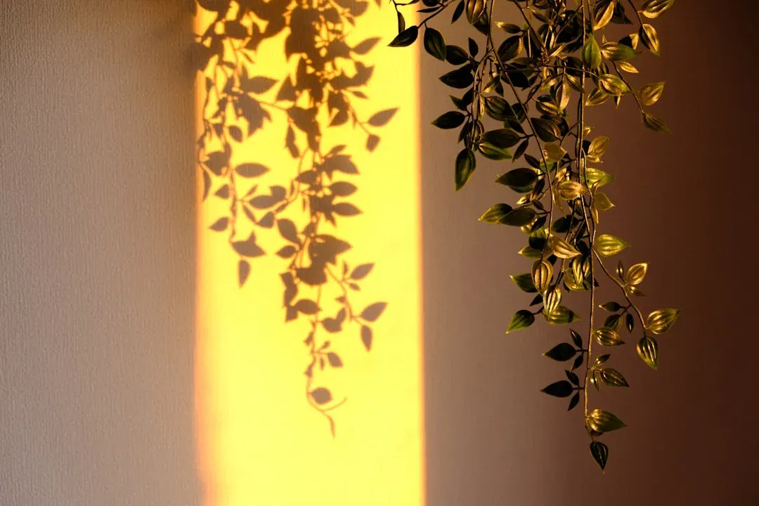 The mood and mental health connection (Image Credits: Unsplash)