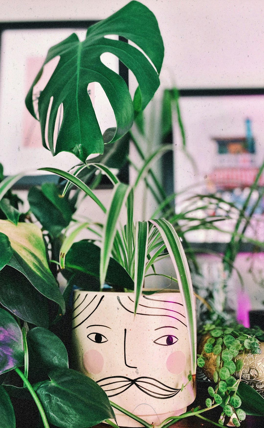 The Great Plant Deception: Why Your Spider Plant Might Be Lying to You (image credits: unsplash)