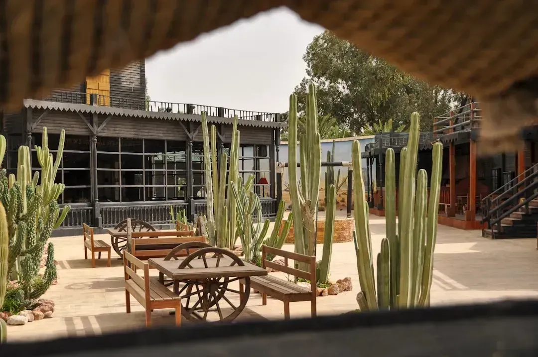 Courtyard and passive-cooled desert homes (Image Credits: Unsplash)