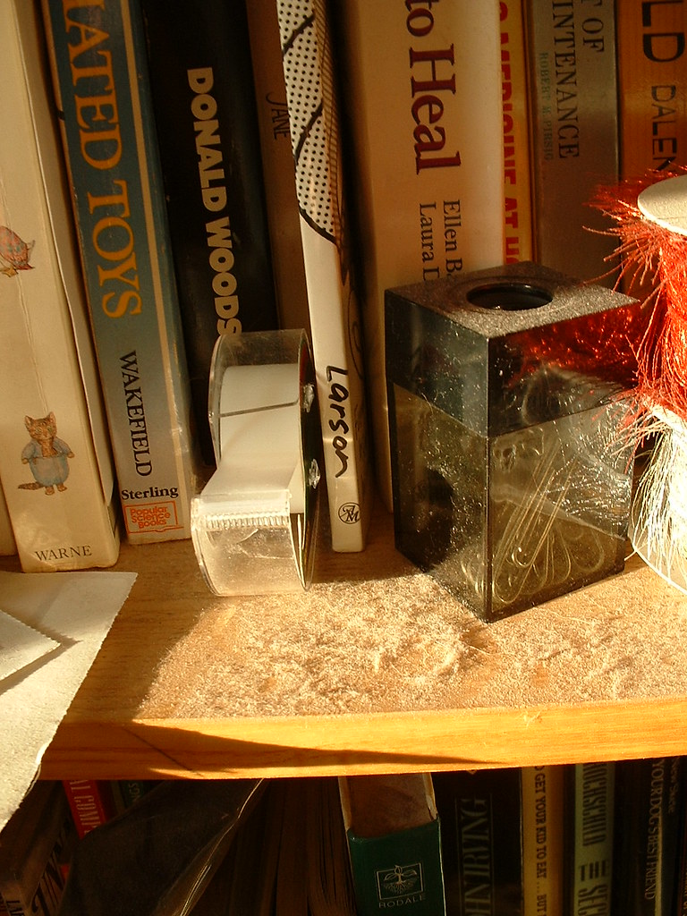 Dusty or Neglected Items (image credits: flickr)