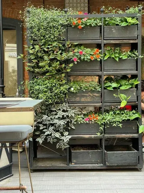Use vertical space when the ground is limited (Image Credits: Pexels)