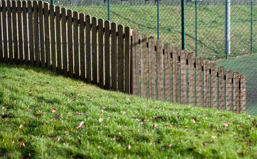 6. Encroaching on Your Property Line Without Asking (Image Credits: Unsplash)