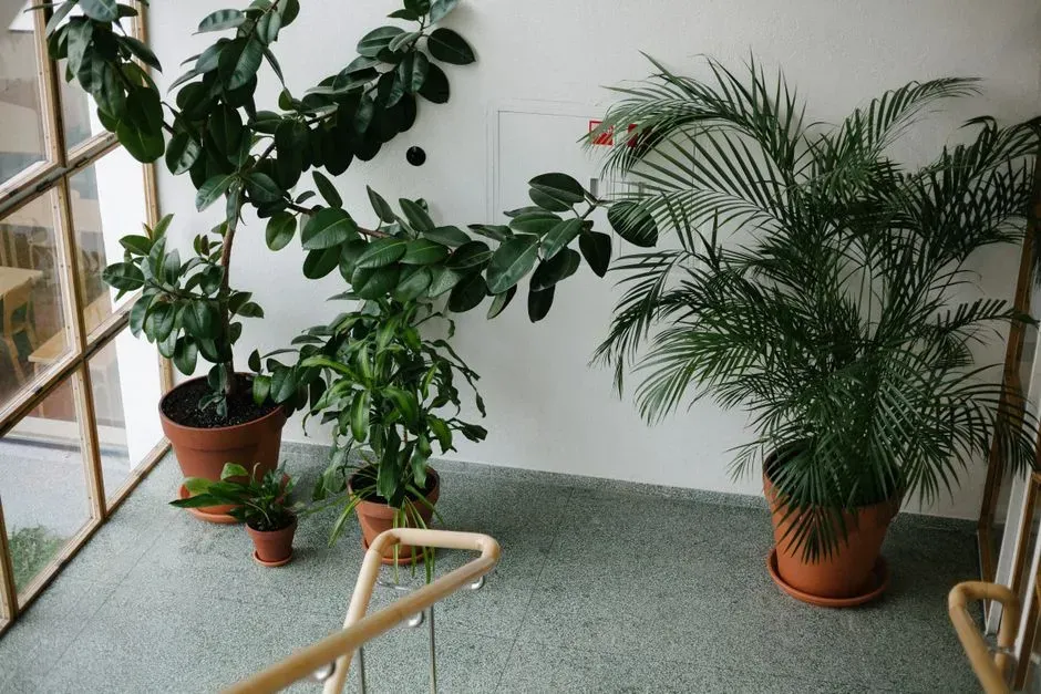 Biophilic Design Homes (Image Credits: Pexels)