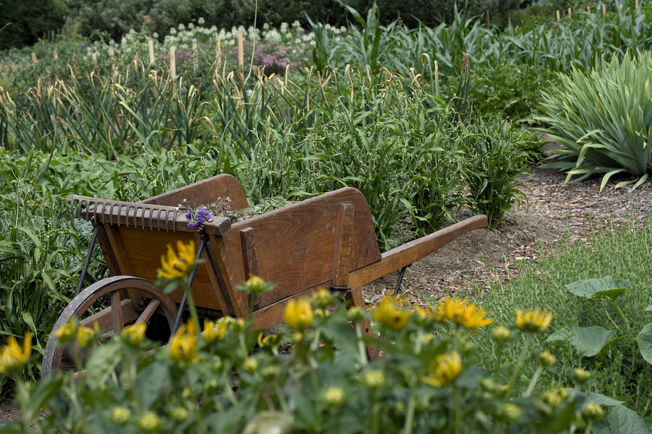 Elaborate Landscaping Projects That Don't Bloom (image credits: pixabay)