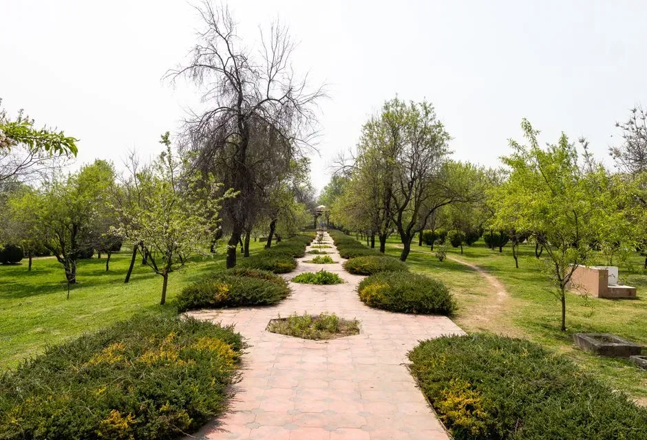 Pathways, gates, and small structural details (Image Credits: Pexels)