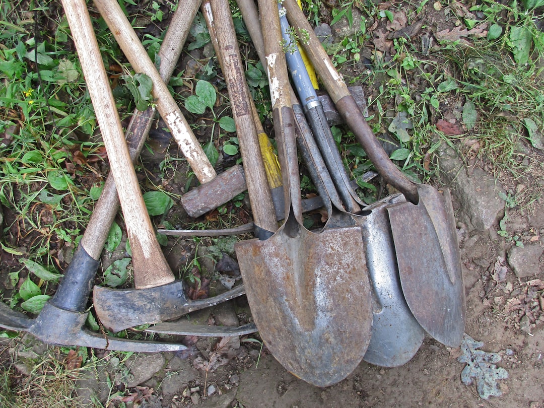 Rusty or Damaged Sharp Garden Tools (image credits: unsplash)