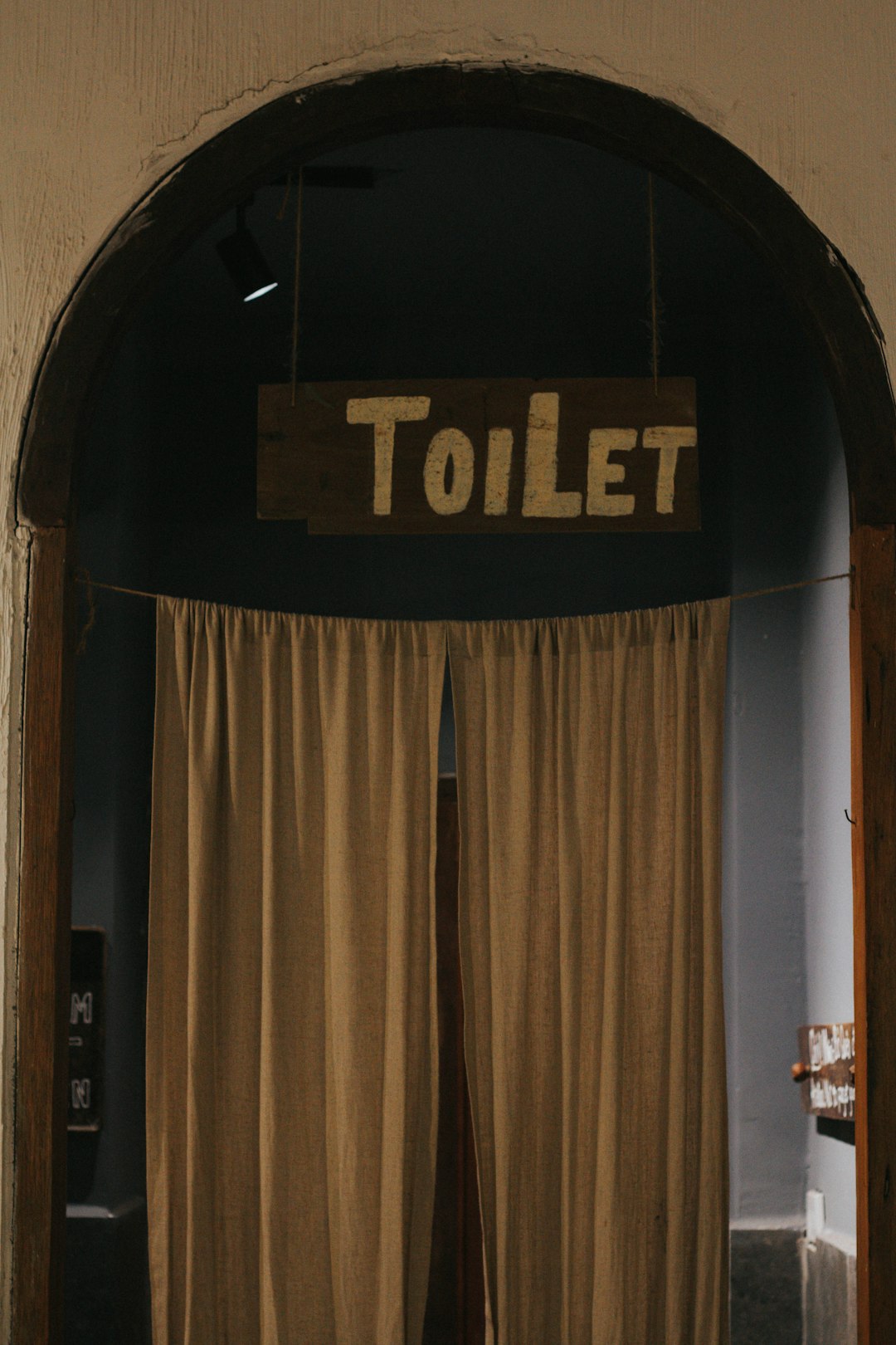 Skipping Regular Toilet Flushing (image credits: unsplash)