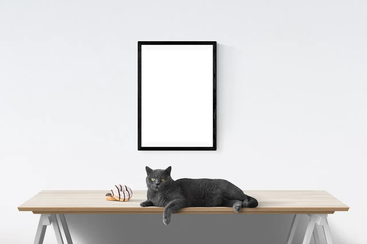 7. Statement art in classic frames (Image Credits: Pixabay)