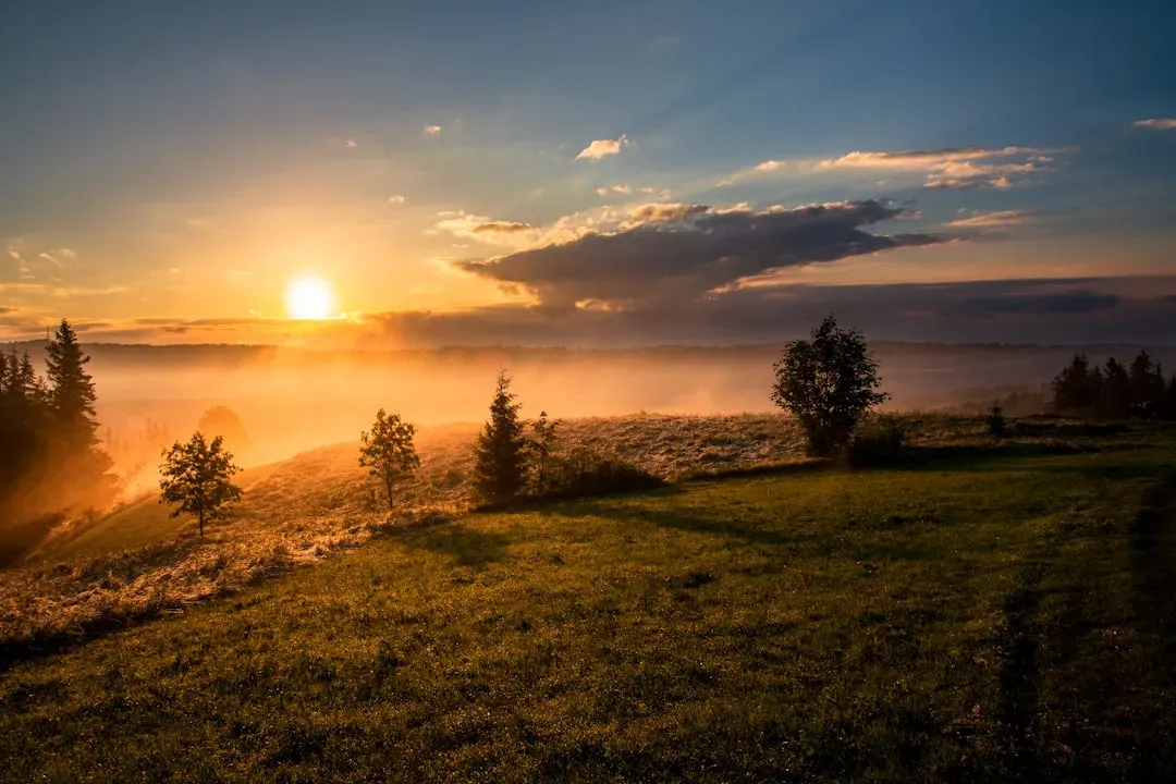 Mood and seasonal light changes (Image Credits: Unsplash)