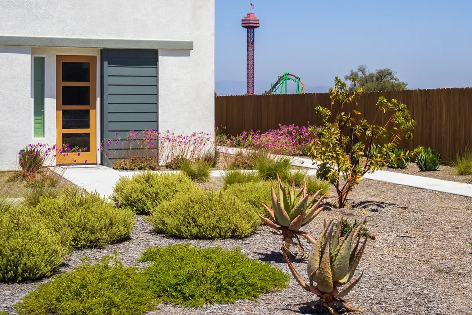Desert and dry-climate courtyards (Image Credits: Pexels)