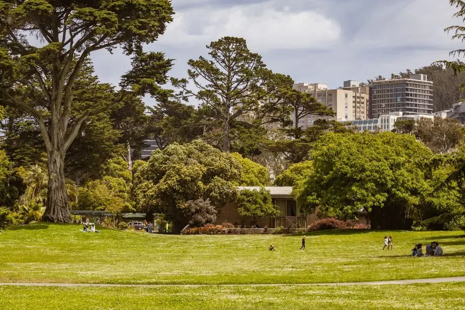 Community parks with open lawns (Image Credits: Pexels)