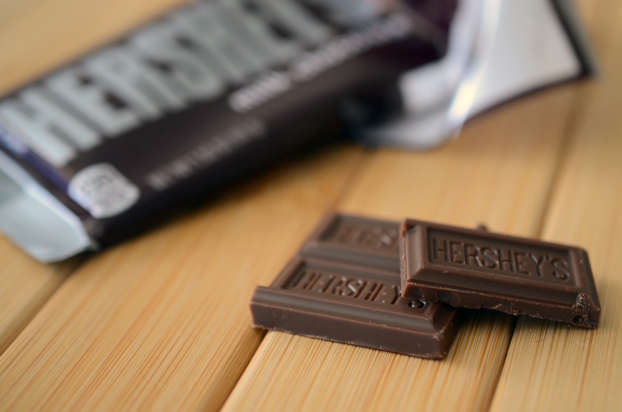 Chocolate and Theobromine Dangers (image credits: pixabay)