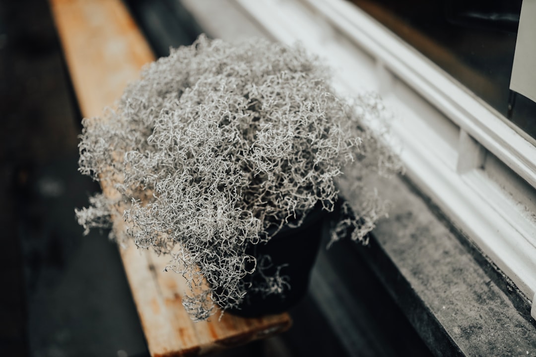 Asbestos-Containing Materials Create Lethal Airborne Fibers (image credits: unsplash)