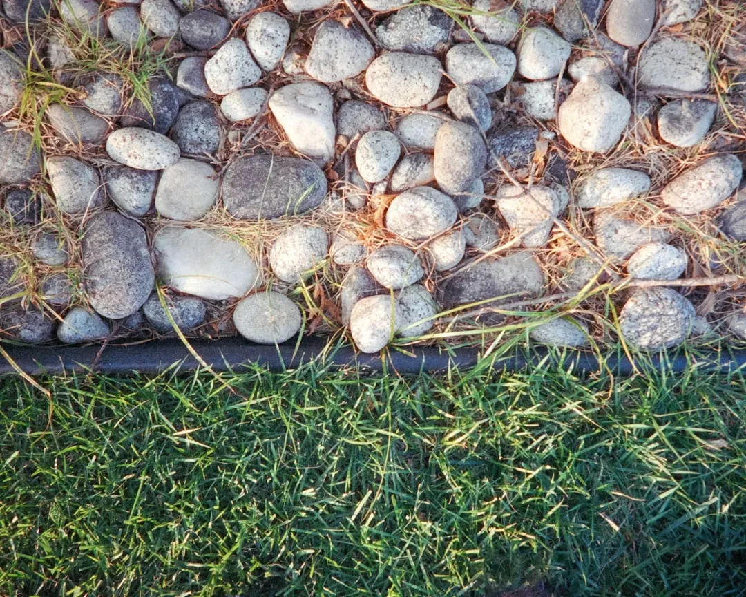 A Habit That Scales From Small Yards to Large Properties (Image Credits: Unsplash)