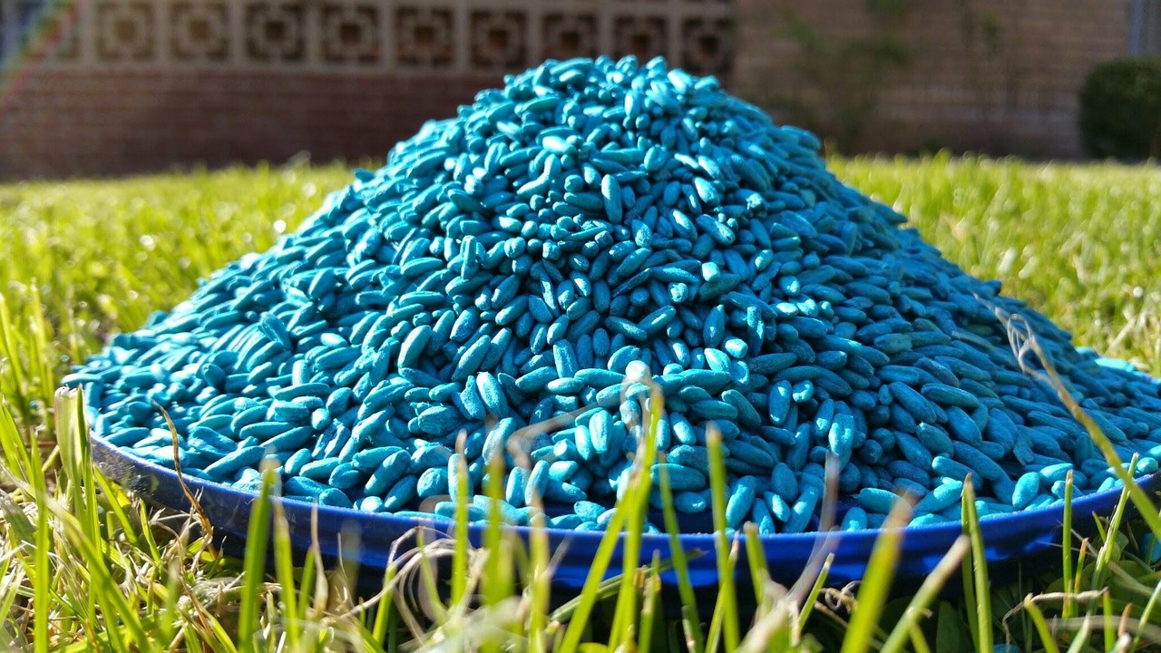 Rodenticides and Mouse Poison (image credits: pixabay)