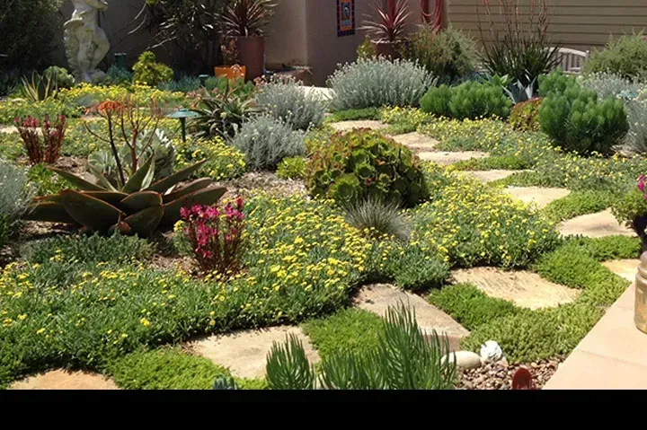 Group plants by water needs, not just looks (Image Credits: WS-outdoor-west-gallery-46, Public domain)