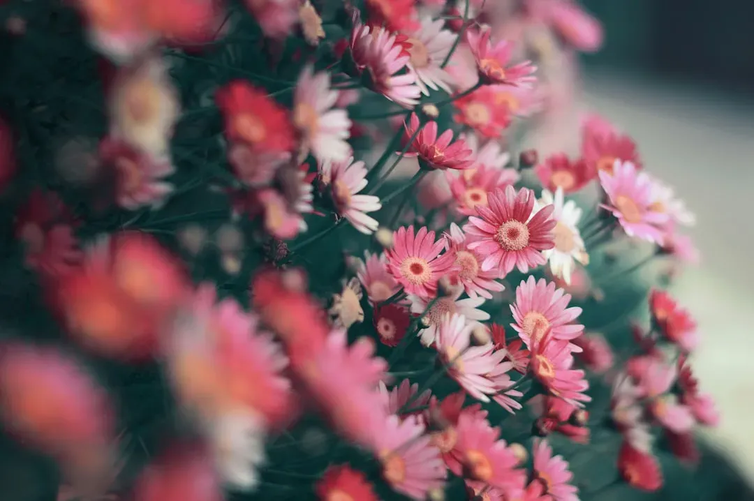 A natural stress reliever (Image Credits: Unsplash)