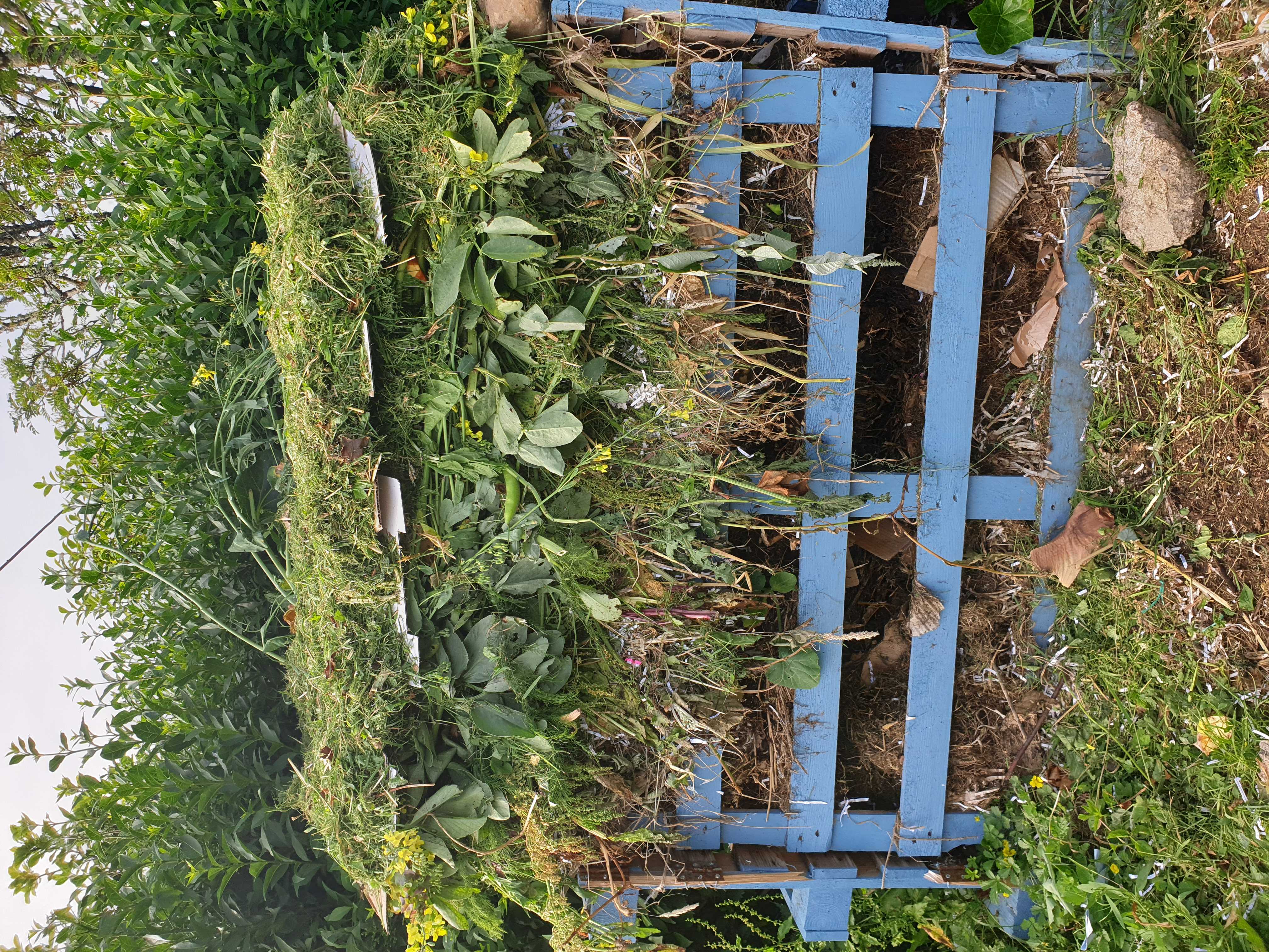 Using Your Finished Compost (image credits: wikimedia)
