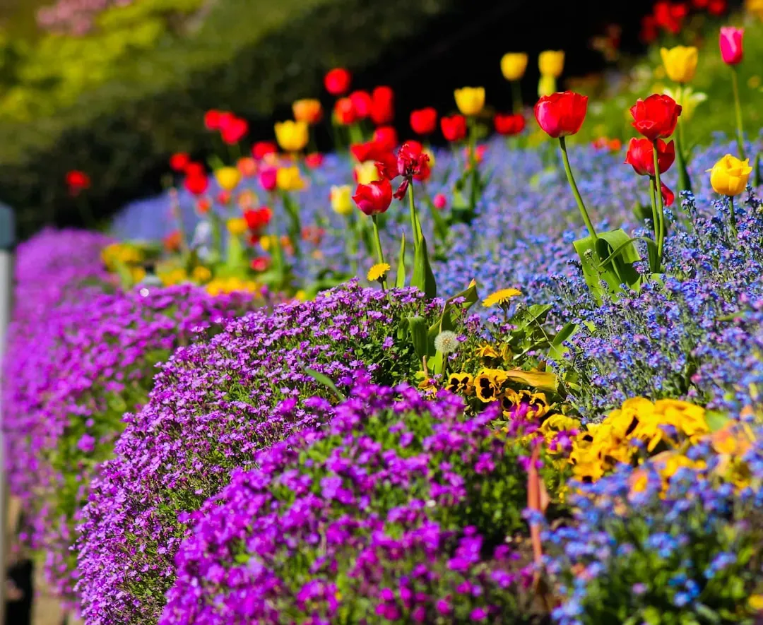 Color combinations that actually work (Image Credits: Unsplash)