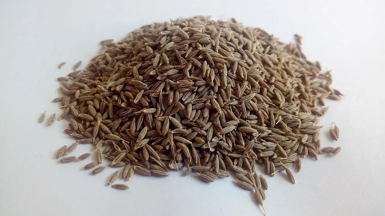 2. Ground Cumin: A Six-Month Countdown Starts at Opening (Image Credits: Pixabay)