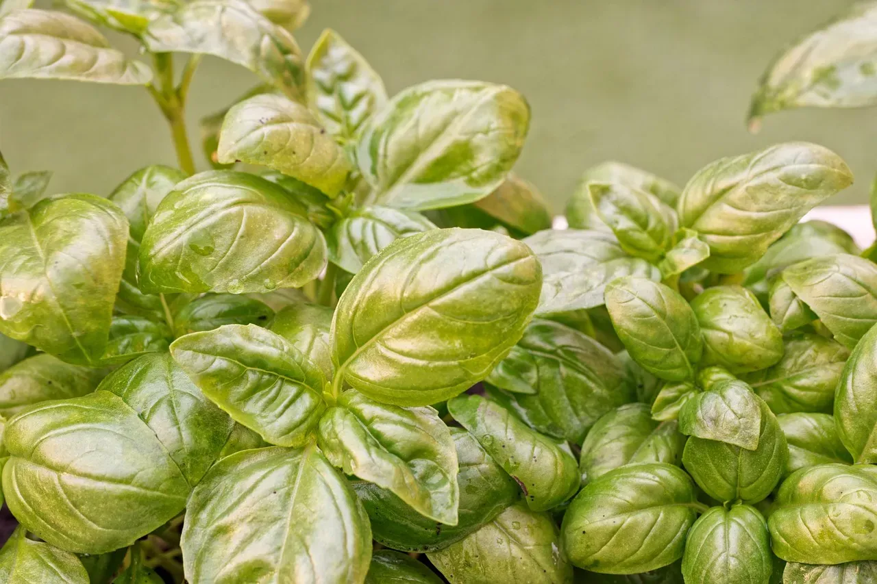 Bring in Natural Elements Deliberately (Image Credits: Pixabay)