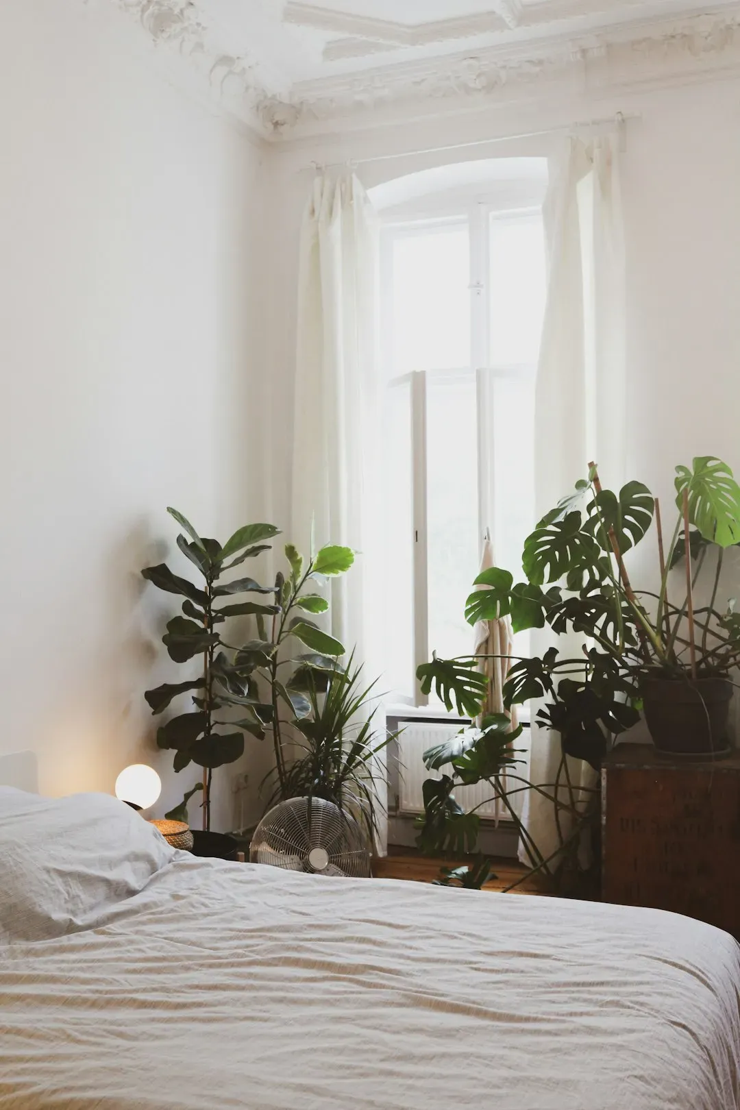 Add a Few Well-Chosen Plants (Image Credits: Unsplash)