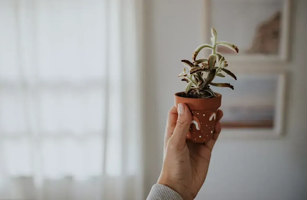 Fresh Interior Paint: The Simplest Game-Changer (Image Credits: Unsplash)