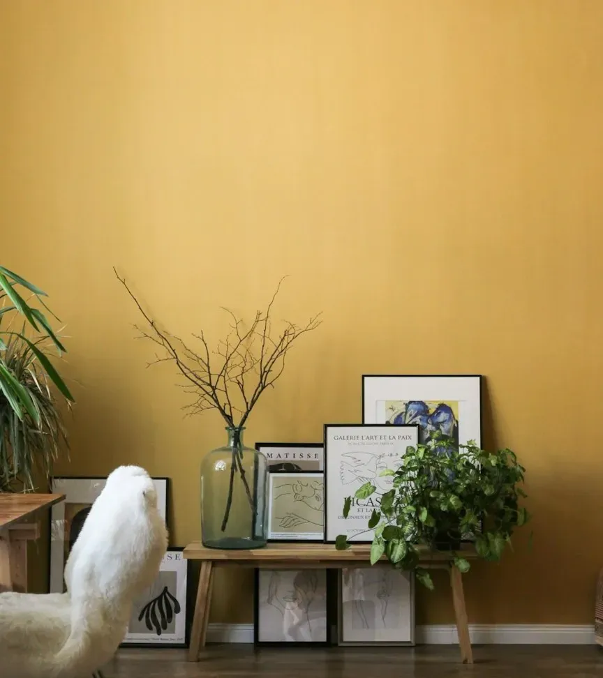 Choose a warm, muted color palette (Image Credits: Unsplash)