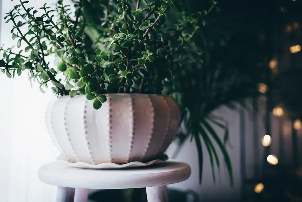 Bring in Plants and Natural Elements (Image Credits: Rawpixel)