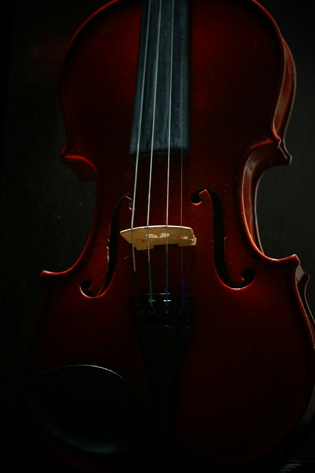 Old Musical Instruments (image credits: unsplash)