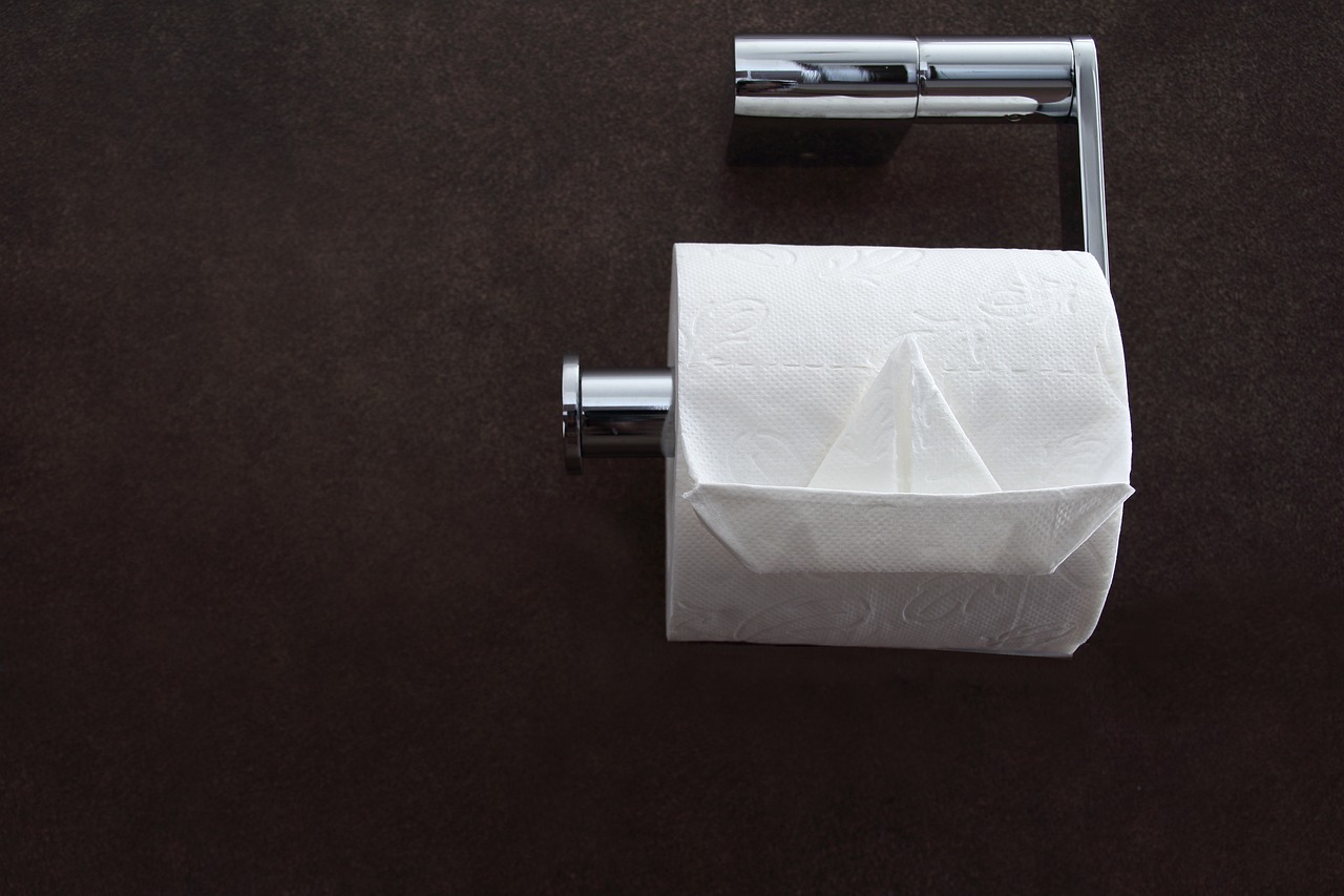 Flushable Wipes That Are Anything But Flushable (image credits: pixabay)