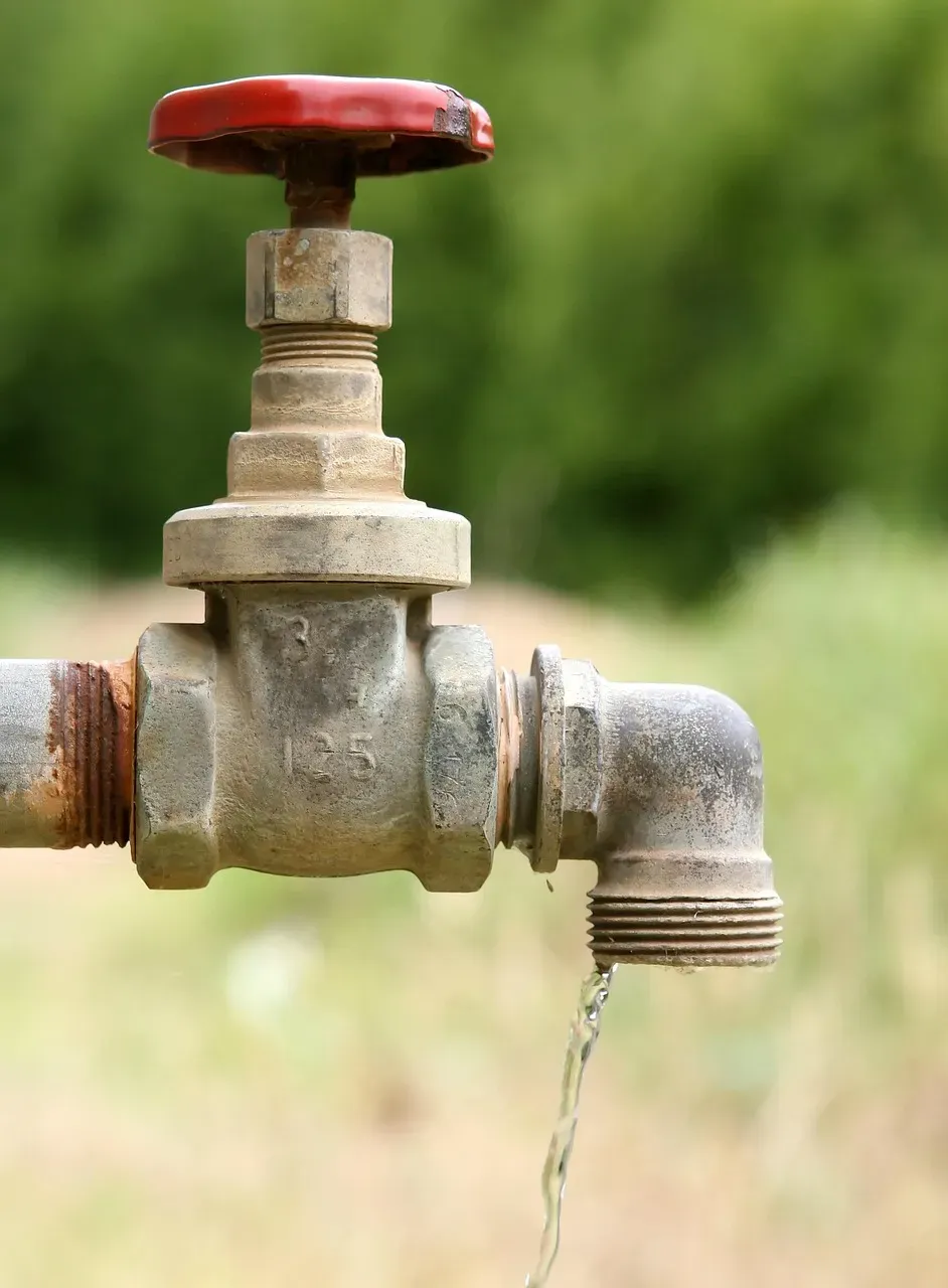 Plumbing Leaks and Aging Pipe Systems (Image Credits: Pixabay)