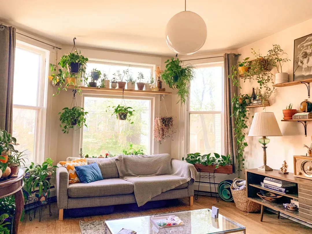 Bringing elements of nature indoors helps (Image Credits: Unsplash)