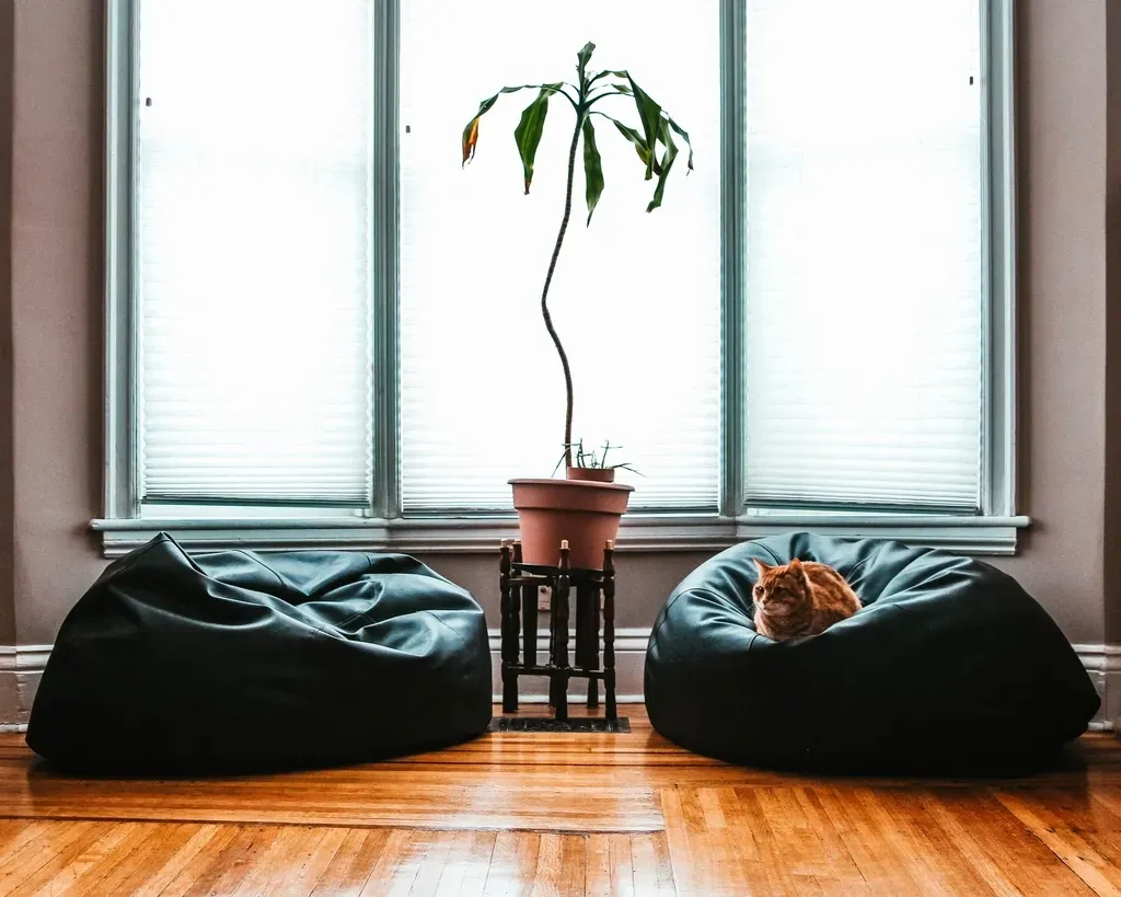 You don't need an extra room to make it work (Image Credits: Rawpixel)