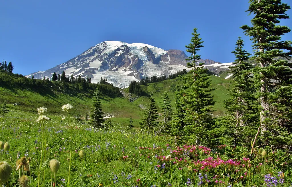 High country: mountain plateaus and alpine meadows (liquidcrash, Flickr, CC BY-SA 2.0)