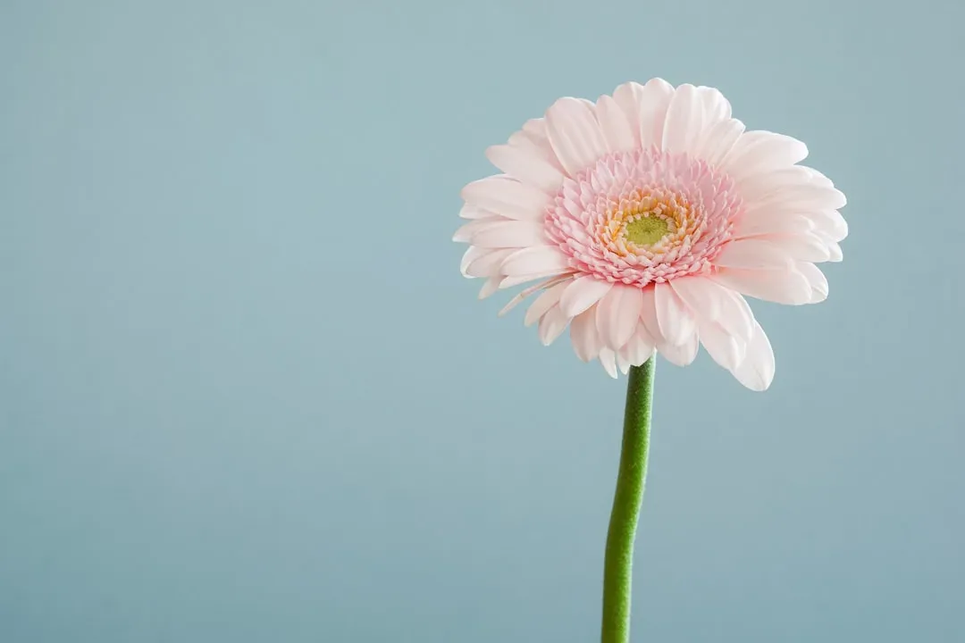 The research behind that instant lift (Image Credits: Unsplash)