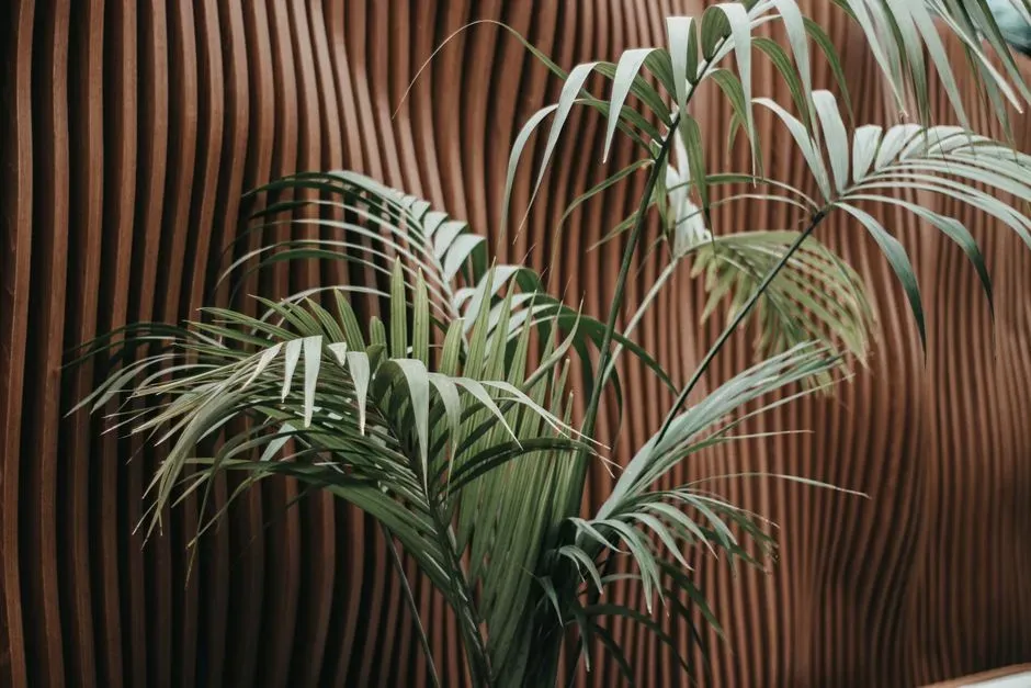 Add natural textures like wood, wool, and plants (Image Credits: Pexels)