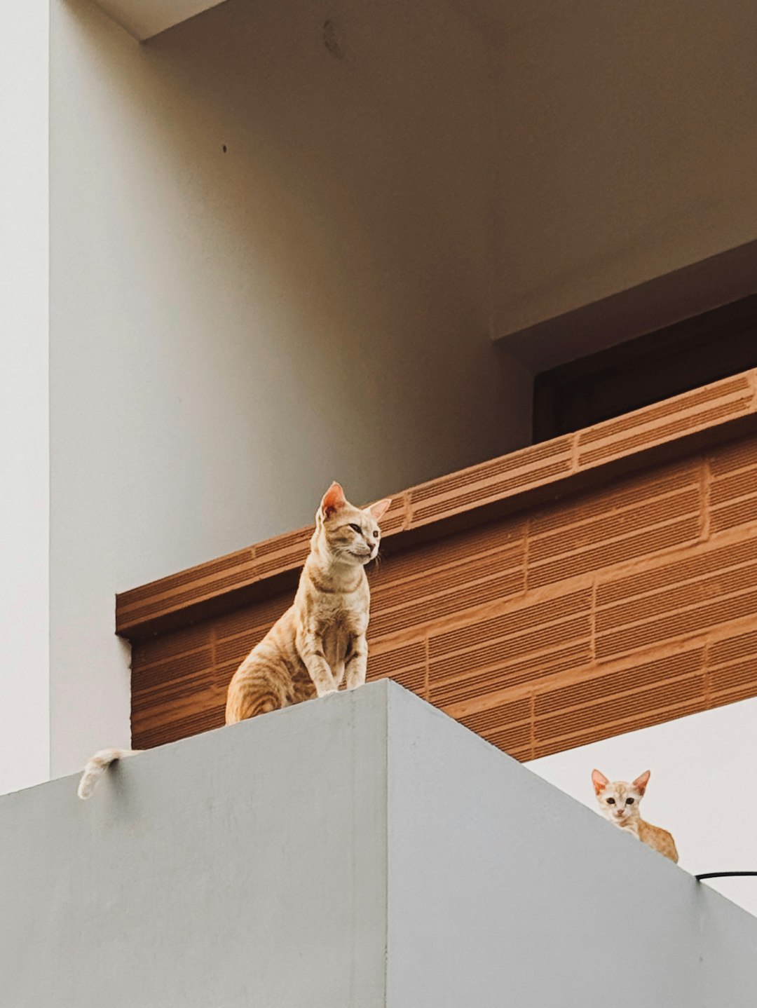 How Inspectors Actually Catch These Violations During Home Sales (image credits: unsplash)