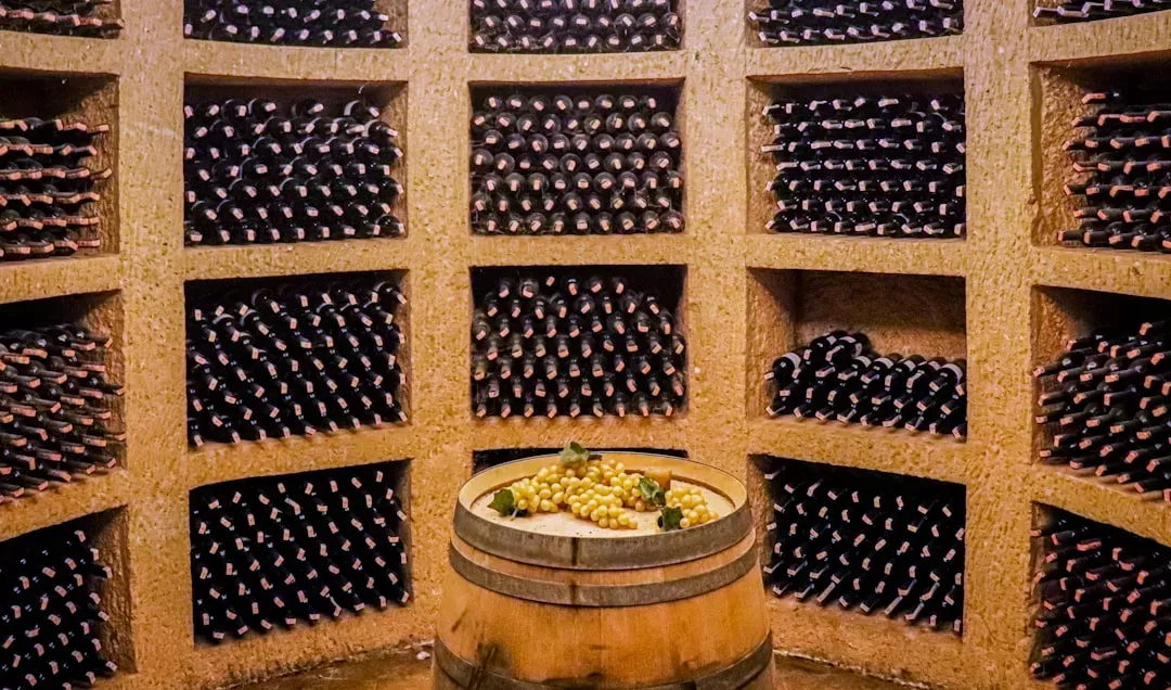 5. A Climate-Controlled Wine Cellar With a Tasting Room (Image Credits: Unsplash)