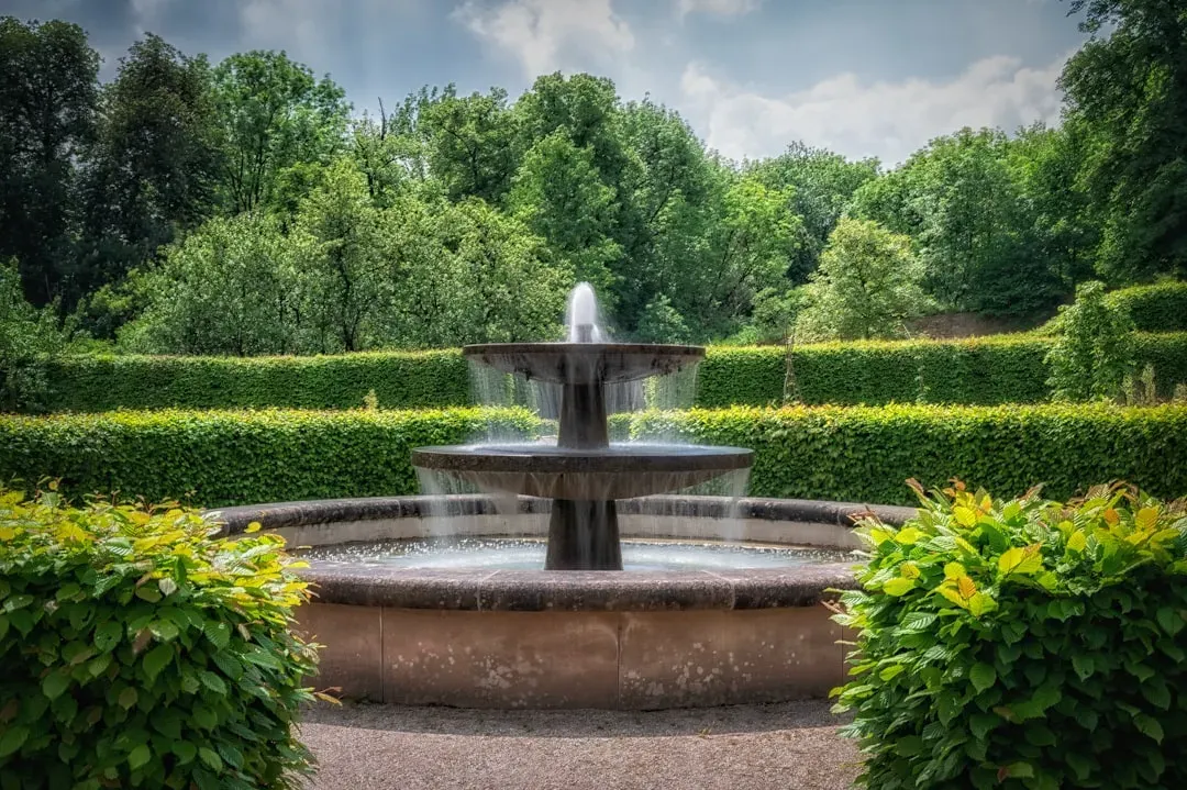 Introduce a Water Feature (Image Credits: Unsplash)