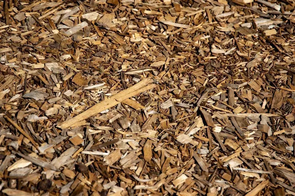 Add mulch to cut down on weeding and watering (Image Credits: Pexels)