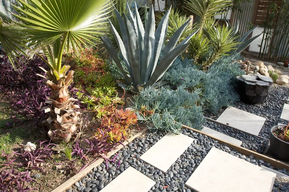 Embrace drought-tolerant and water-wise design (Jeremy Levine Design, Flickr, CC BY 2.0)