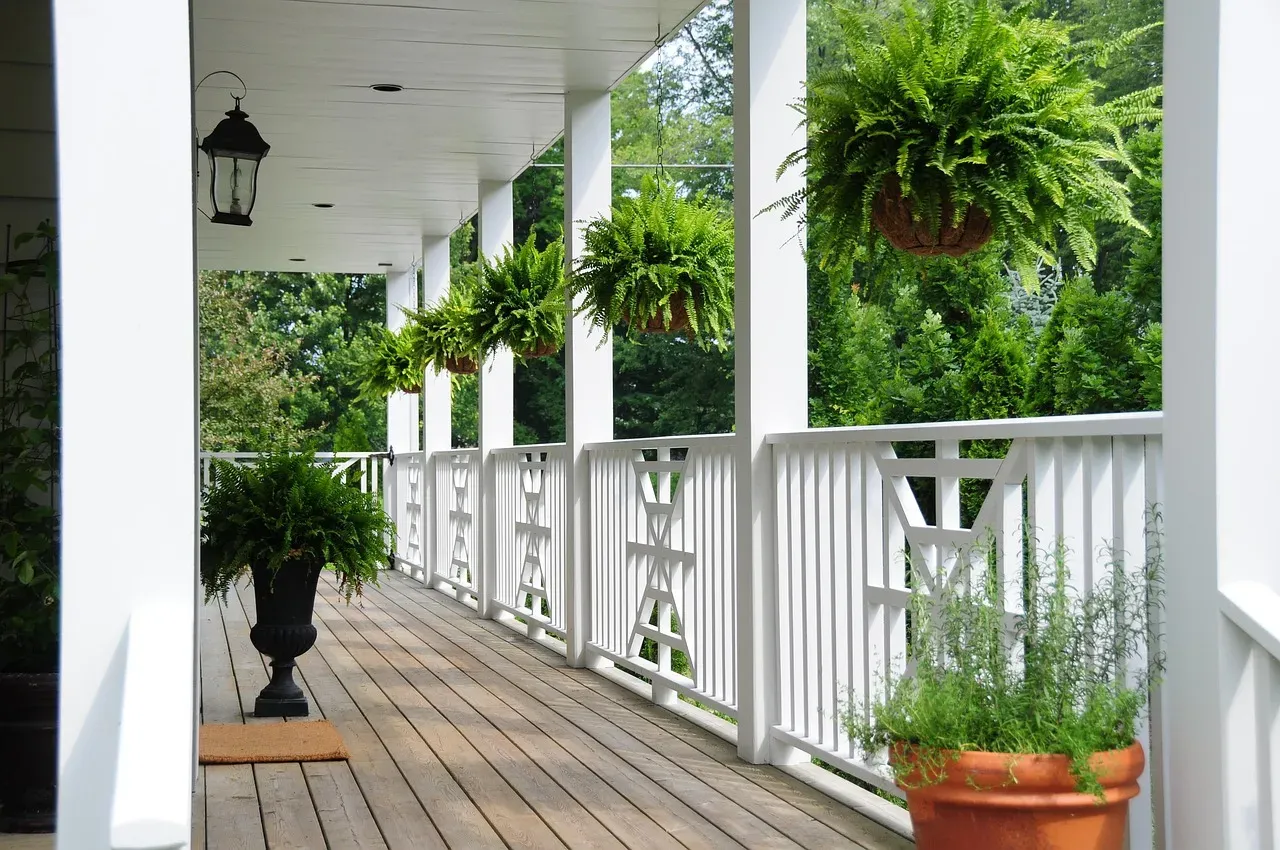 Plants and greenery without the clutter (Image Credits: Pixabay)