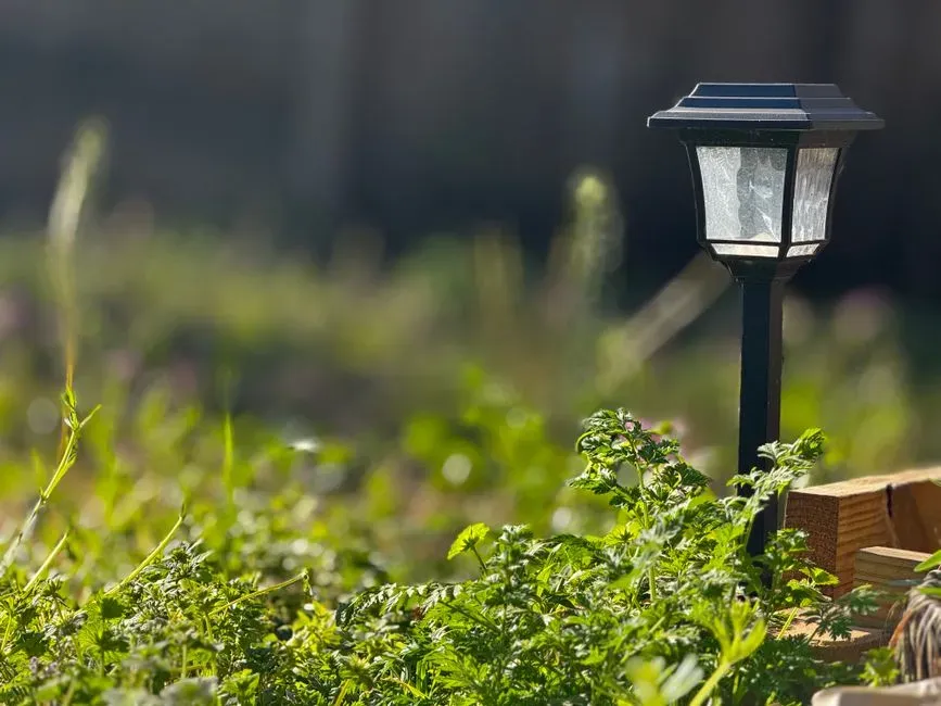Install simple string lights or solar path lights (Image Credits: Pexels)