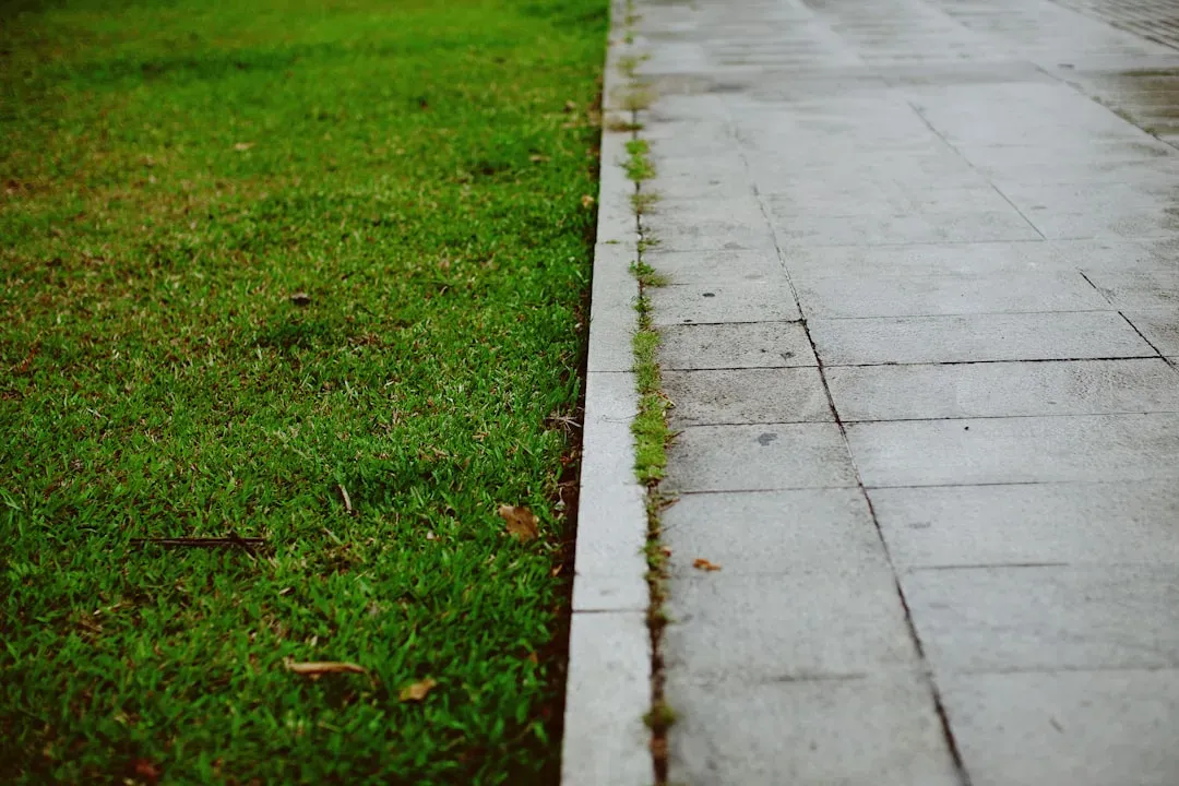 Lawn Edges Versus Bed Edges (Image Credits: Unsplash)